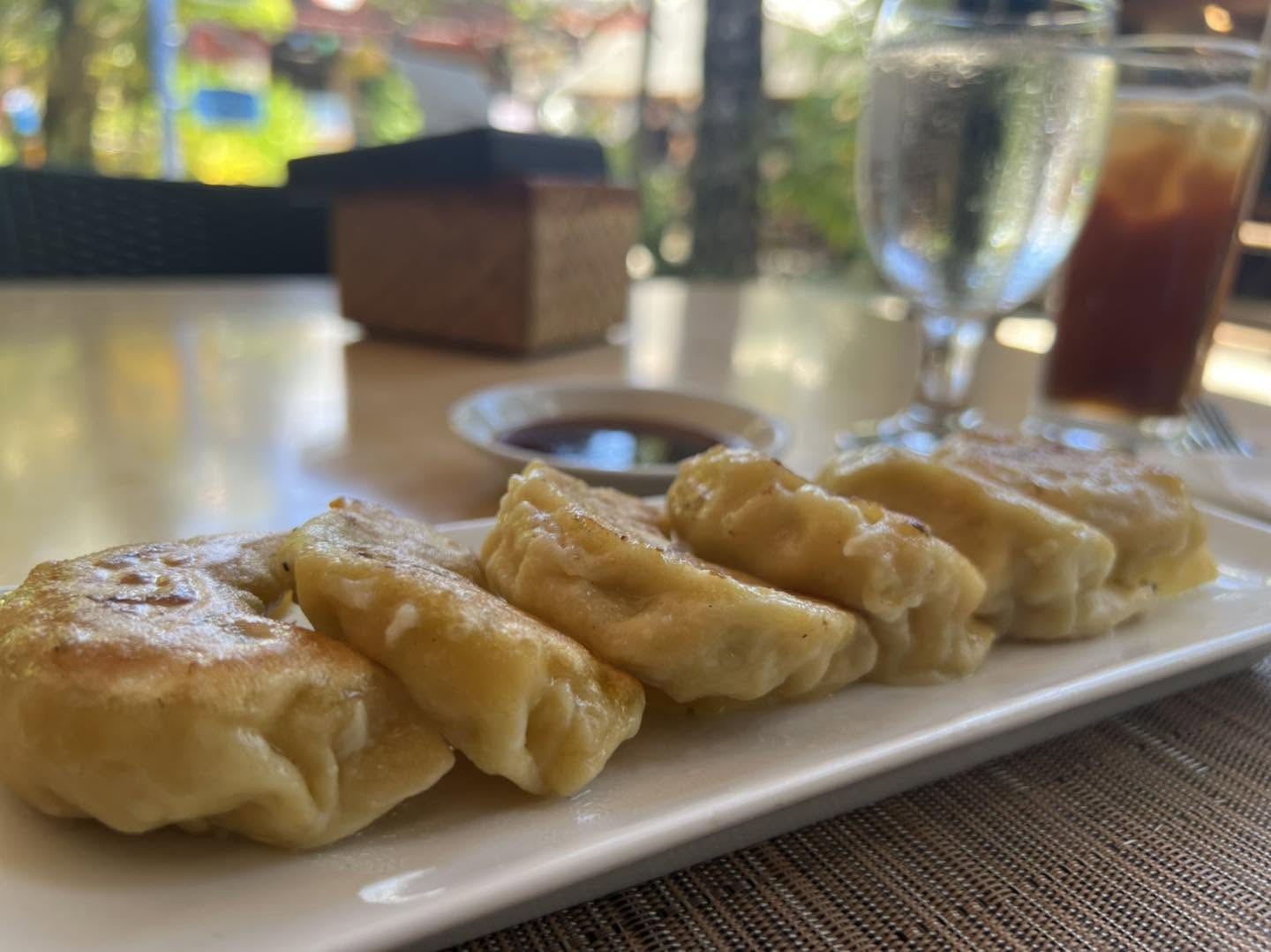 Gyoza