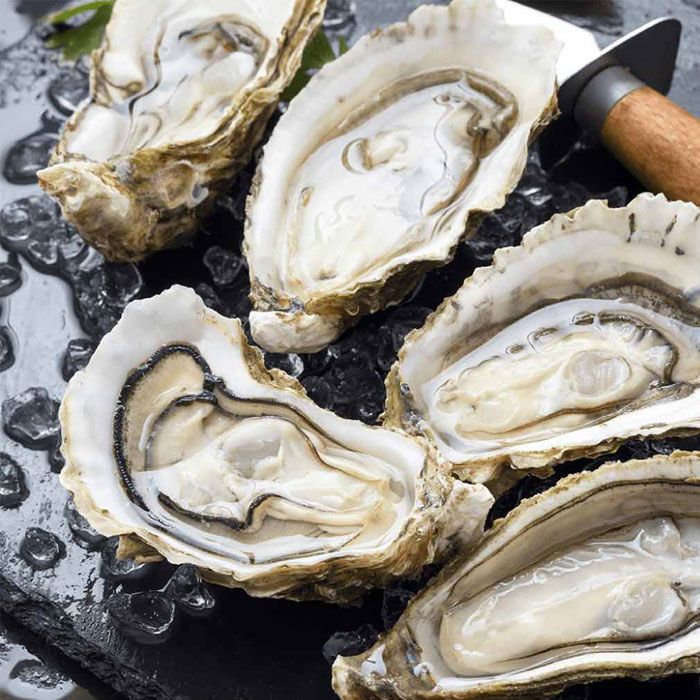 Oyster