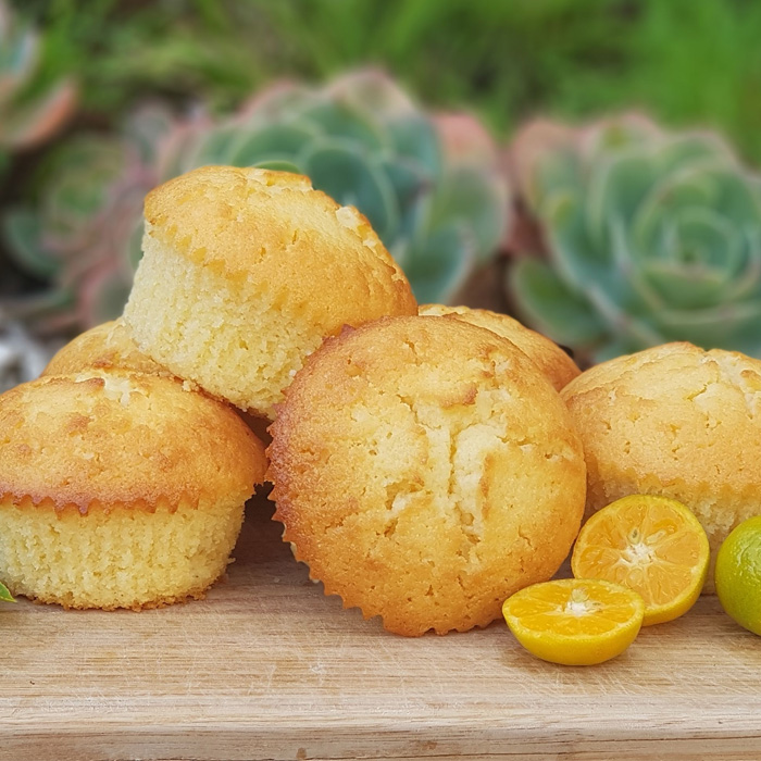 Calamansi Muffin