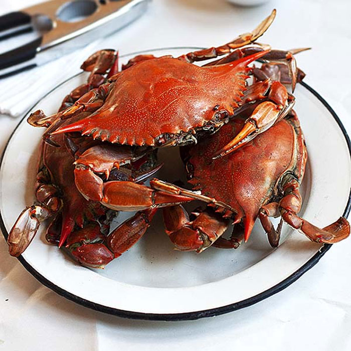 Crab